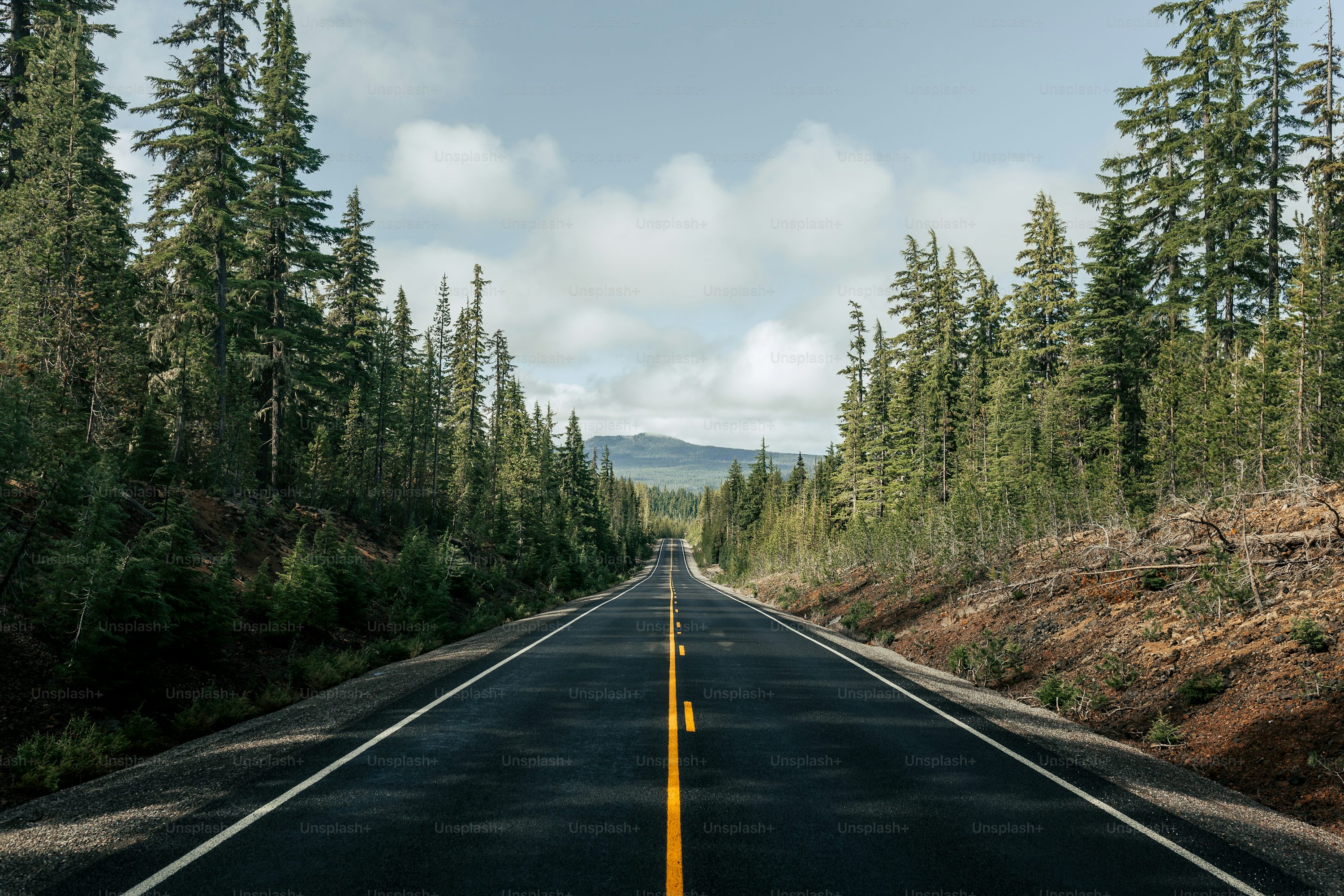an empty road surrounded by trees and mountains