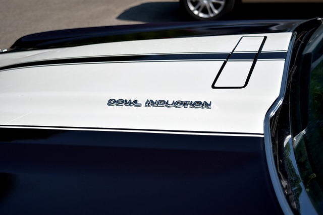 Free Cowl Induction Chevrolet photo and picture