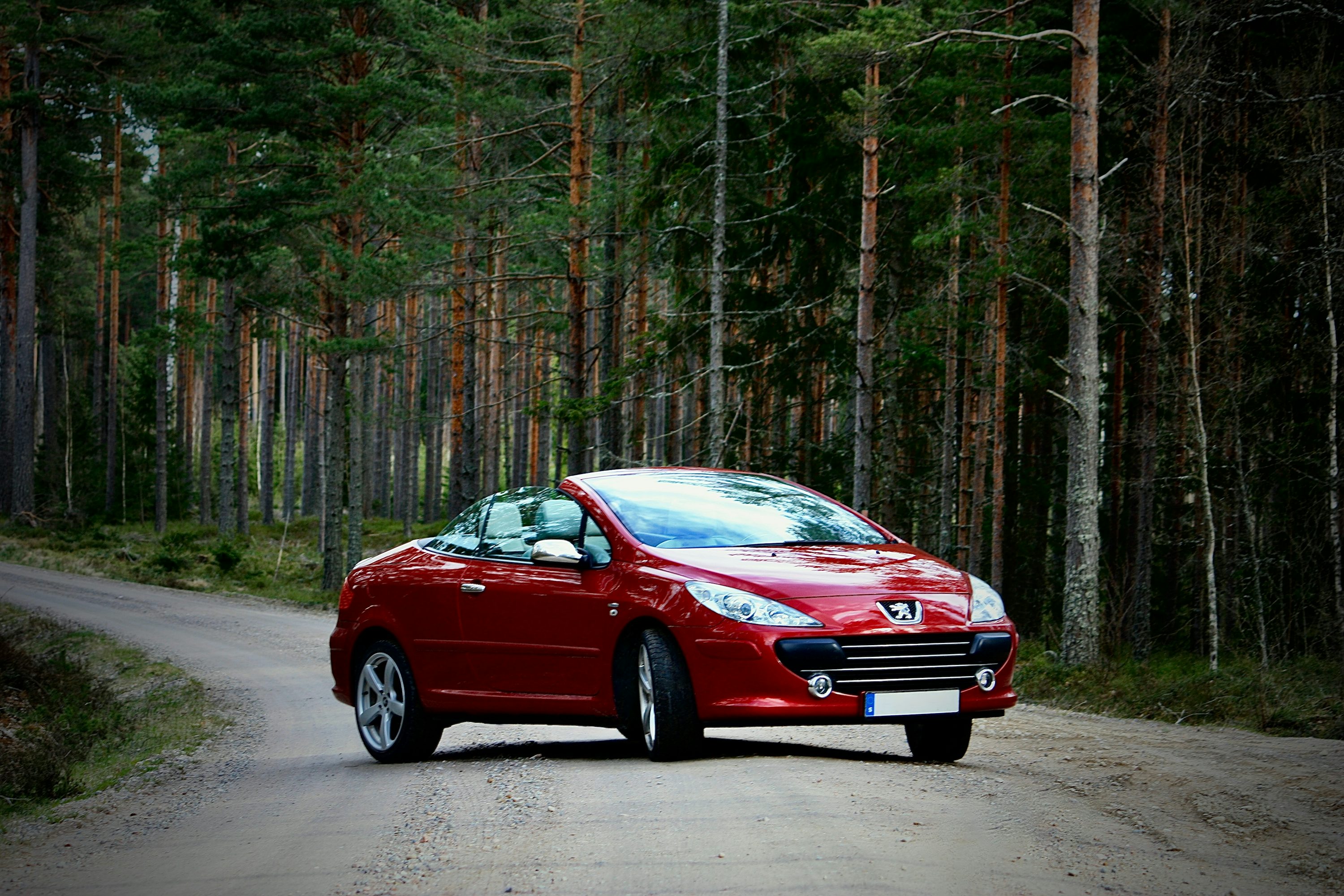 A red car driving down a forest road