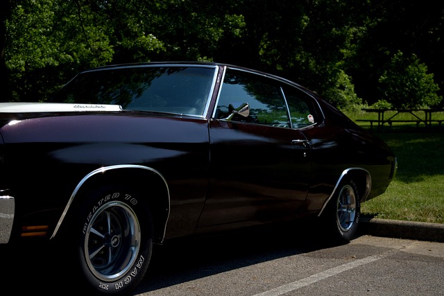 Free Chevy Chevy Chevelle photo and picture