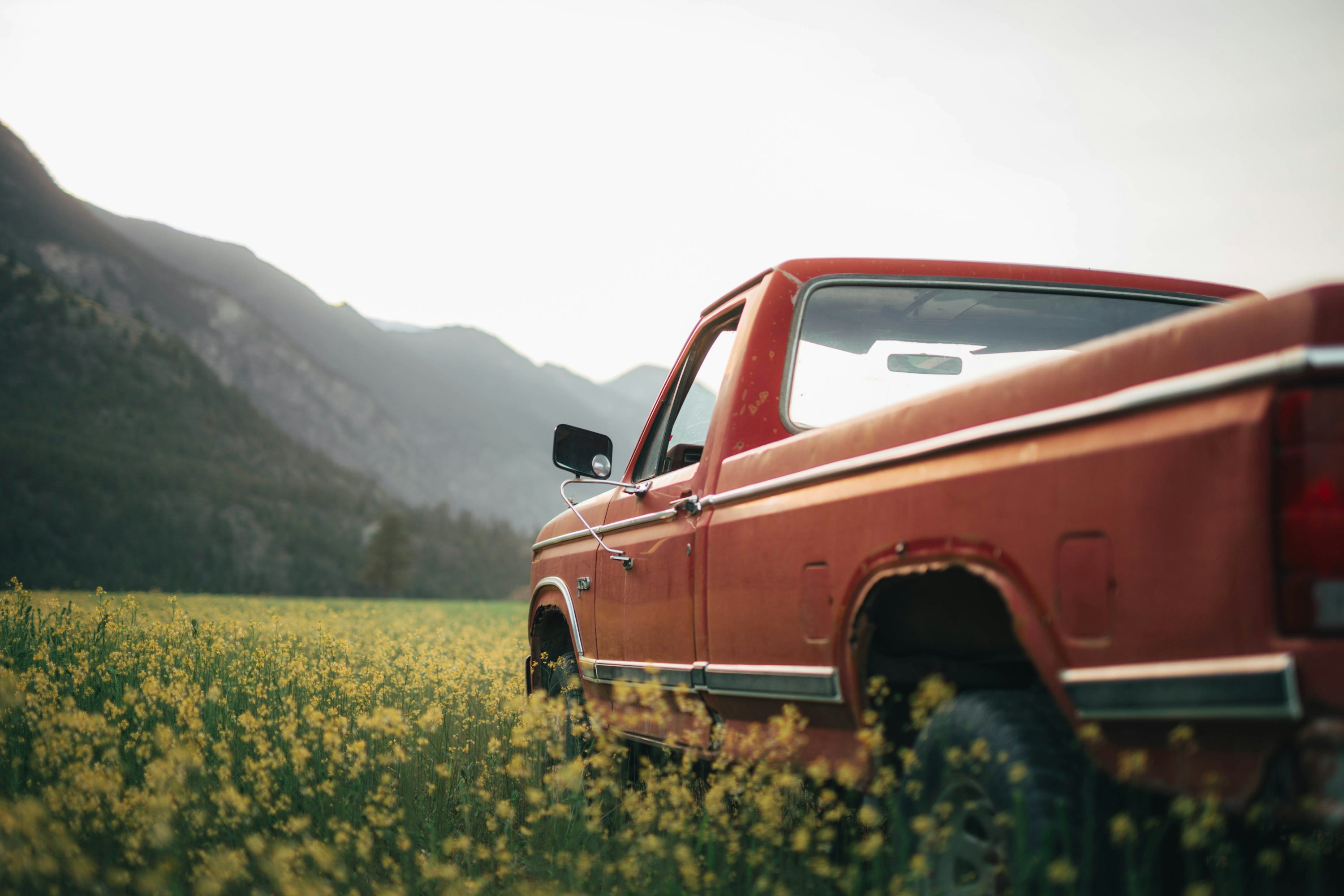 A red truck stands in a field.
