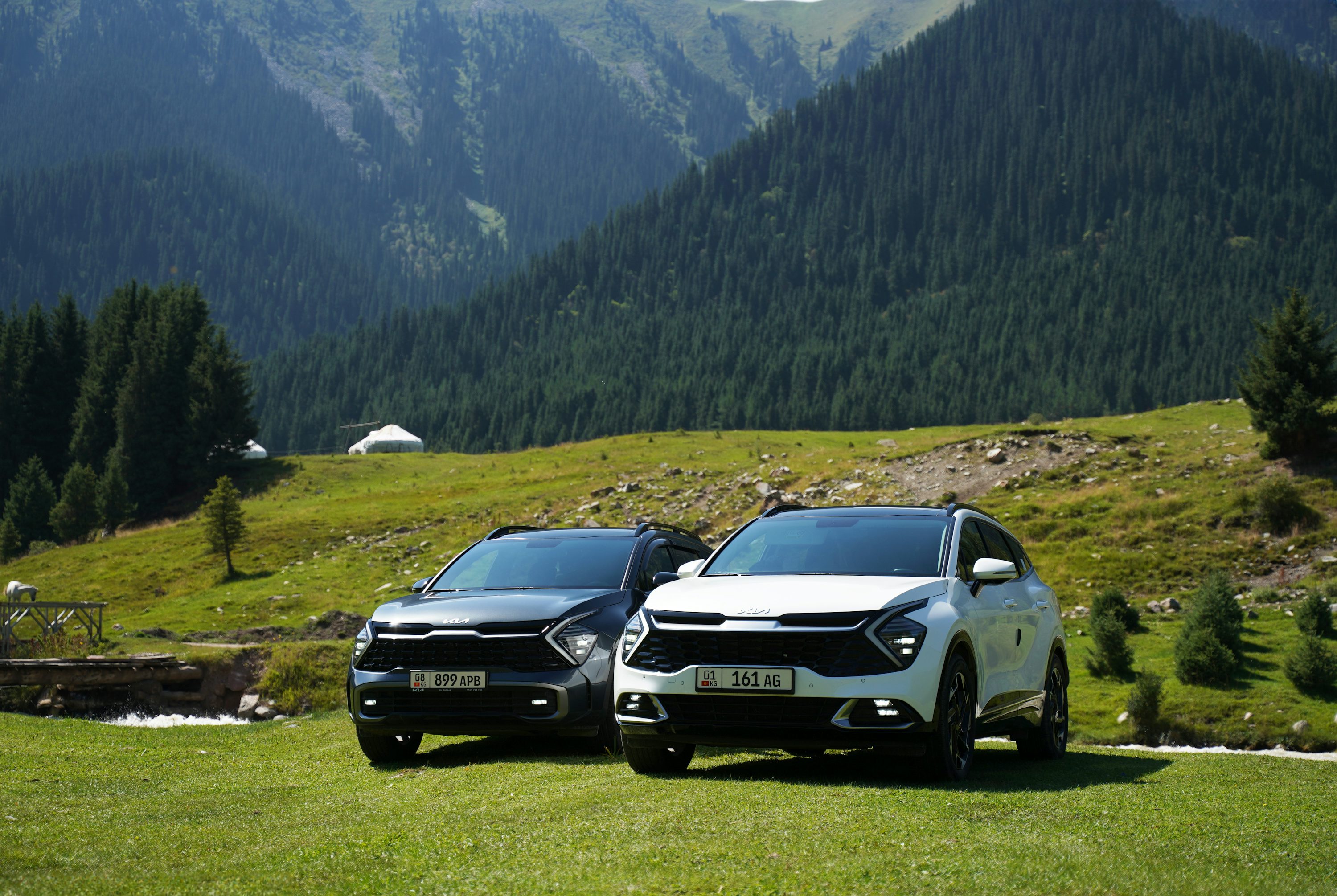 A couple of cars parked on top of a lush green hillside