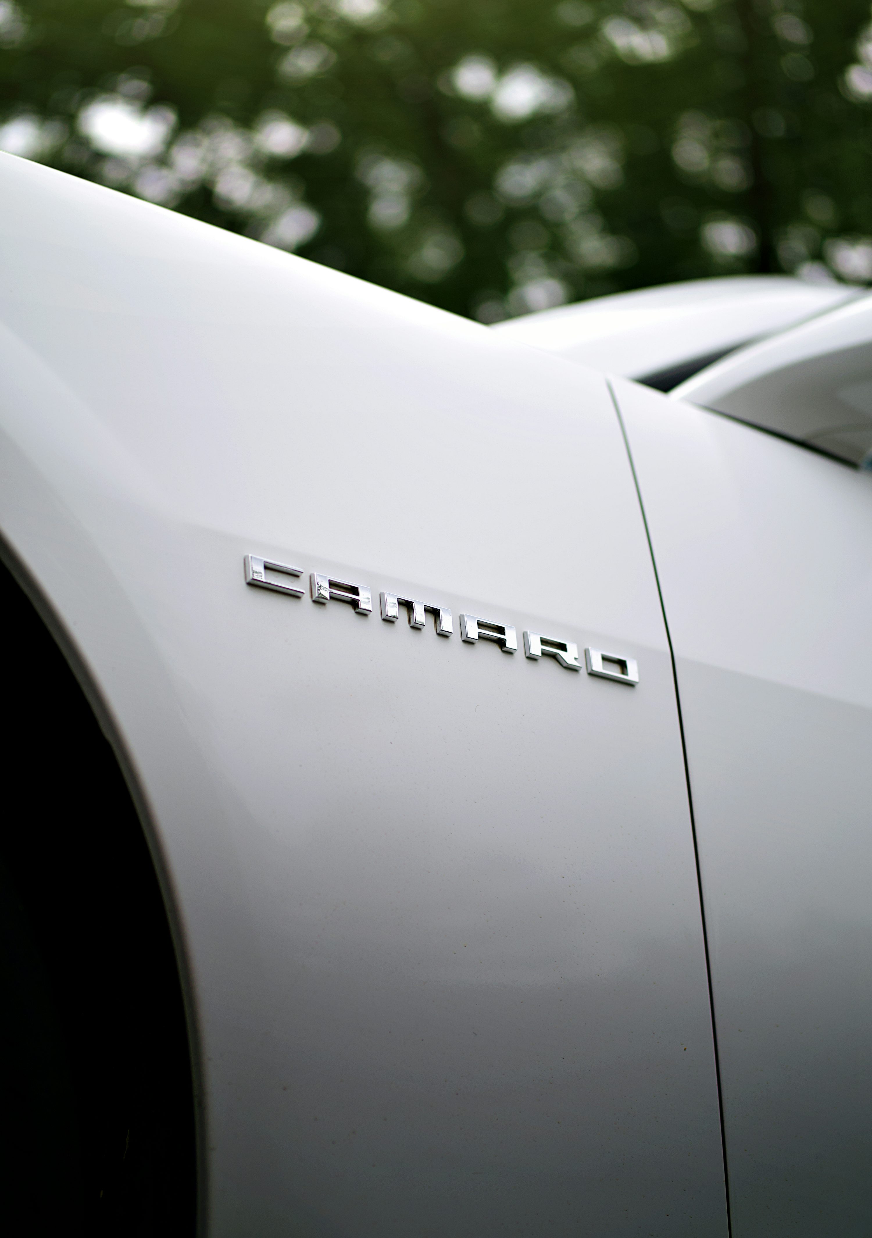 A white camaro car emblem.