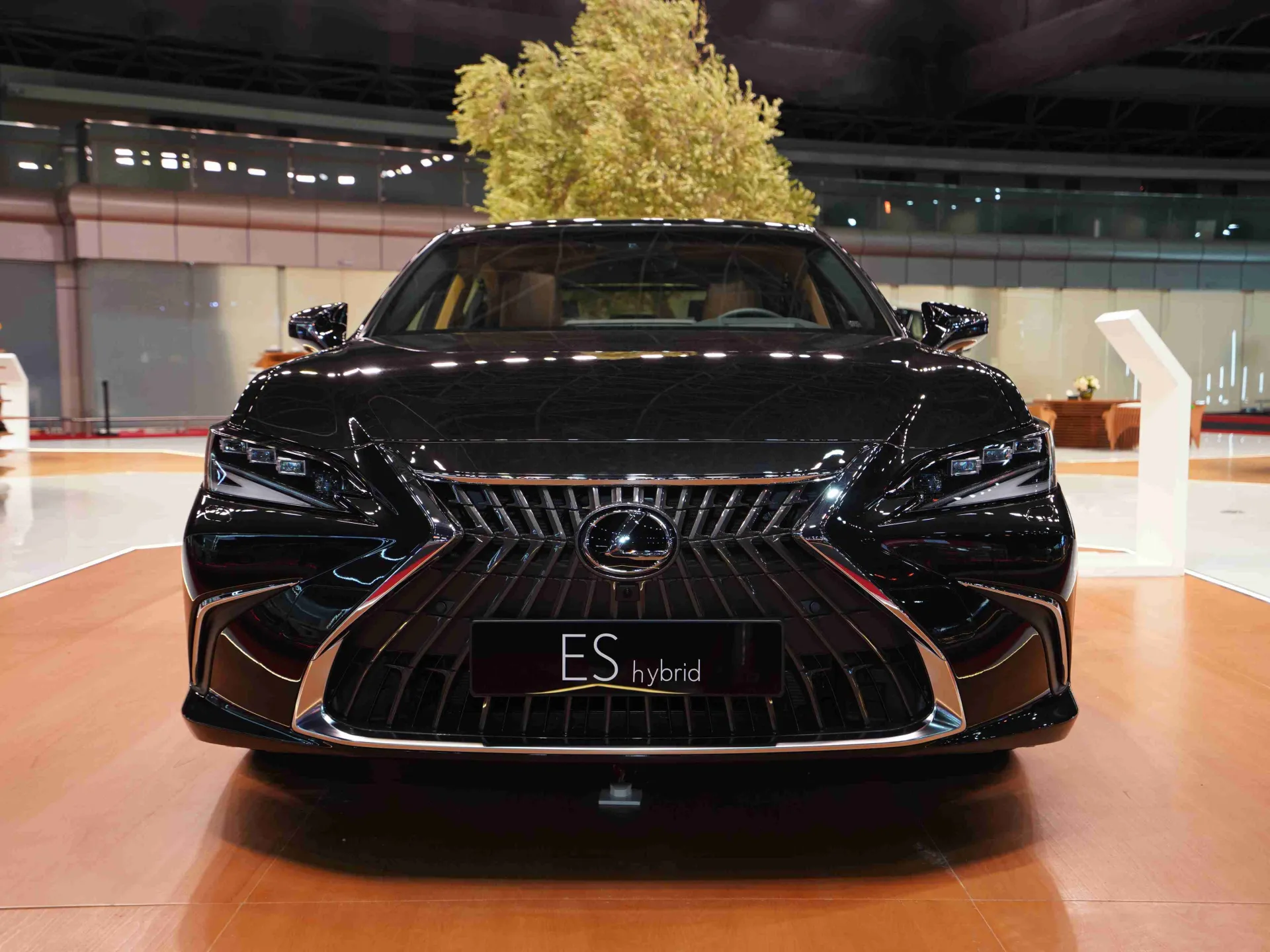 2025 Lexus ES300