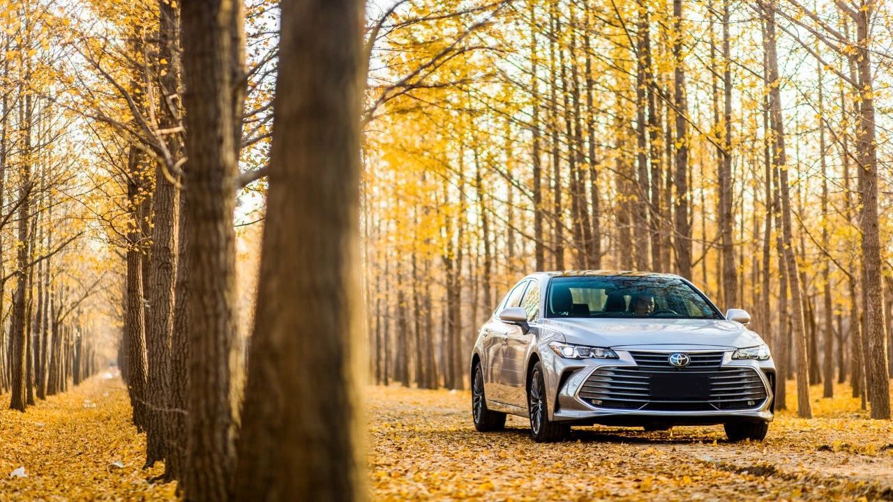 2025 Toyota Avalon Exterior: longer body appearance than Lexus ES