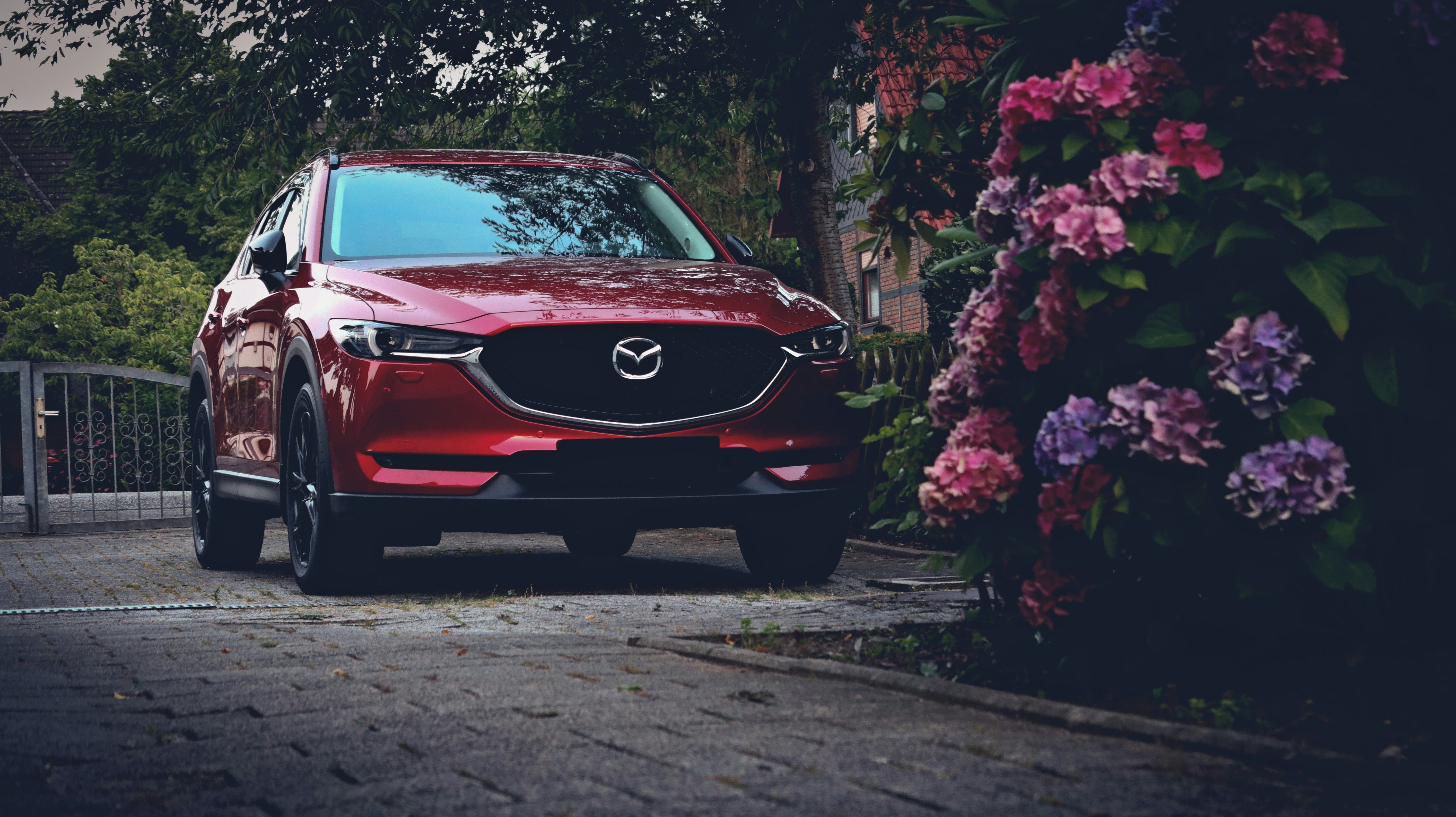 مازدا CX-5 مقابل تويوتا RAV4:دليل 2025 لاختيار SUV المثالي