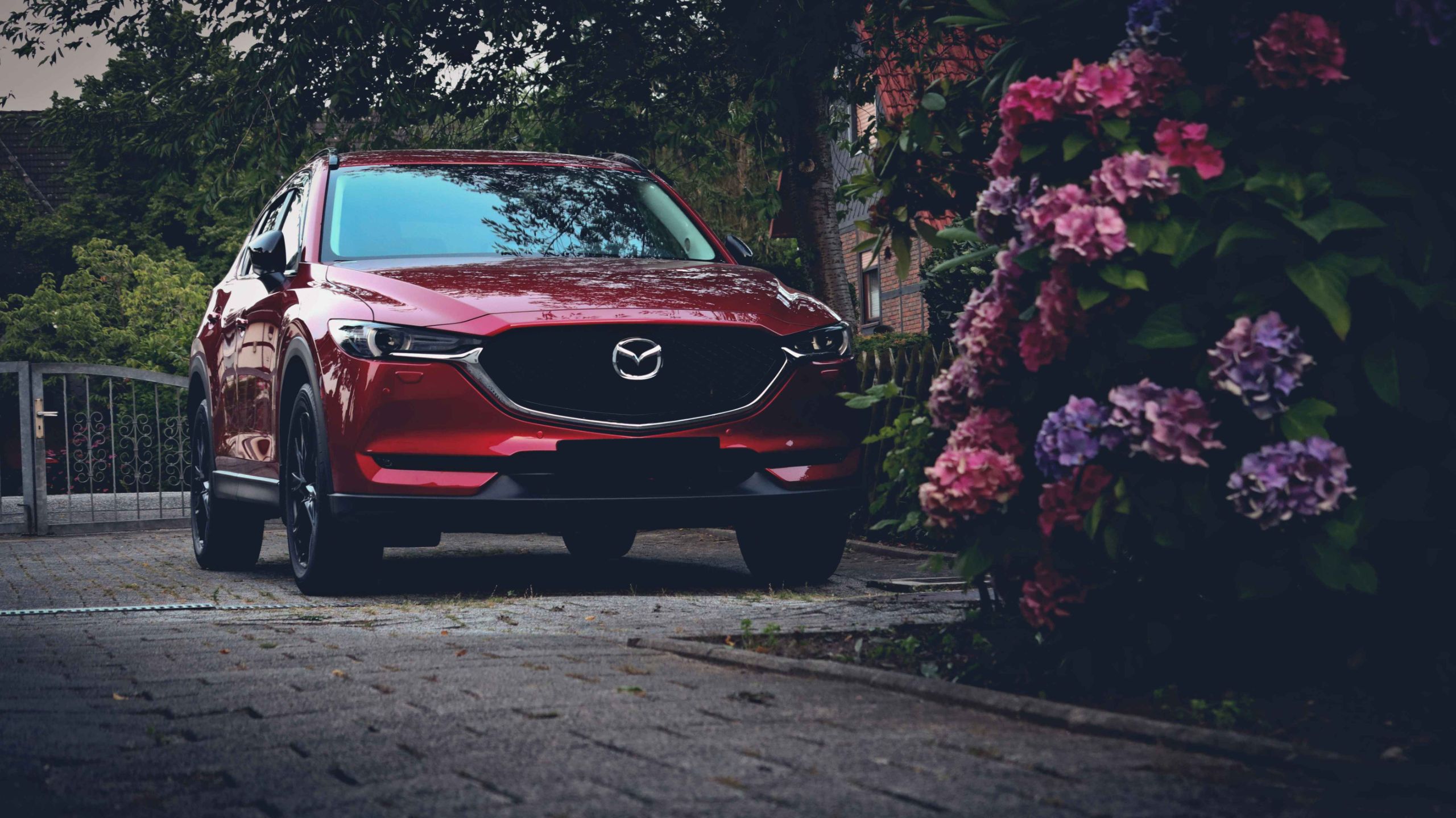 اكتشف الفروق الجوهرية بين تويوتا RAV4 ومازدا CX-5 لعام 2025 مع مقارنة شاملة تشمل الأسعار والتقنيات وسهولة القيادة في المناطق الحضريةل.