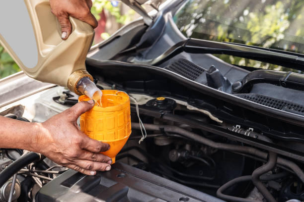 Discover the complete 2025 Nissan Sunny oil change process with expert tips