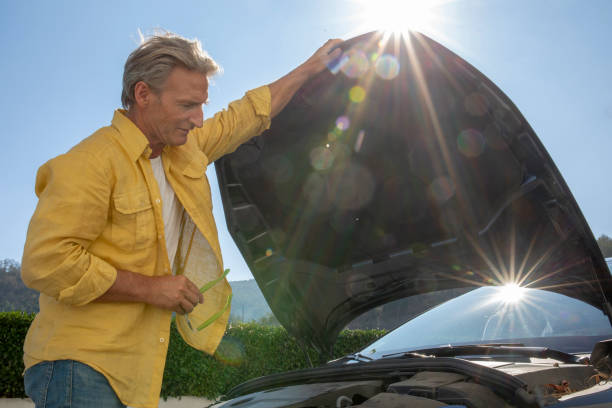 Discover the complete 2025 Nissan Sunny oil change process with expert tips