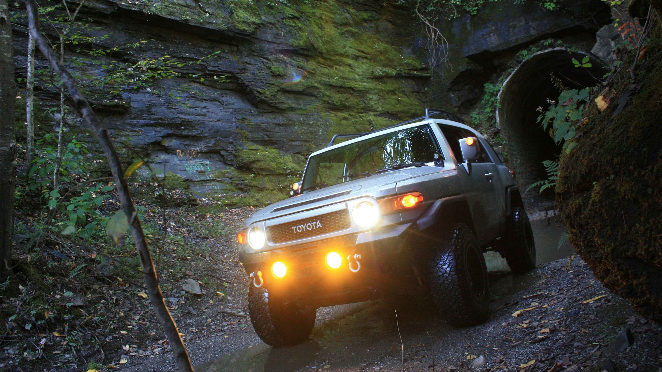 Discover essential tips for choosing and maintaining FJ Cruiser fog lights in 2025. Learn about LED upgrades, weatherproof installations
