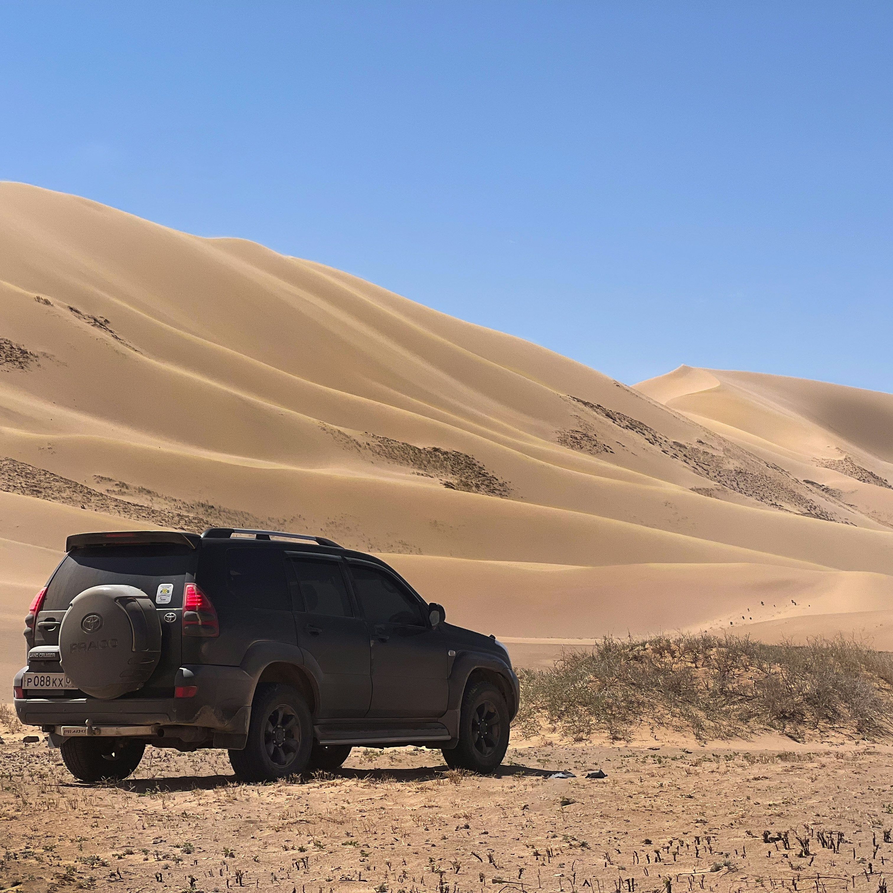 Key differences between the 2025 Toyota Highlander and Innova HyCross. Seating capacity, hybrid efficiency, price, and family-friendly features.