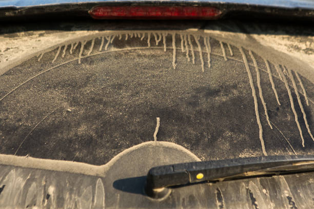 Discover how to turn off back windshield wiper Volkswagen Tiguan with easy steps. Learn switch locations,and troubleshooting tips smoother driving experience. 