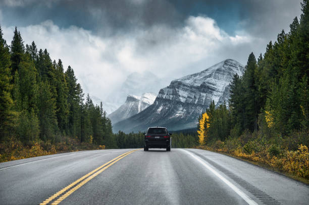 Want to know how big the VW Tiguan is? This article details the Tiguan's body dimensions, interior space, helping you assess if this SUV meets your travel 