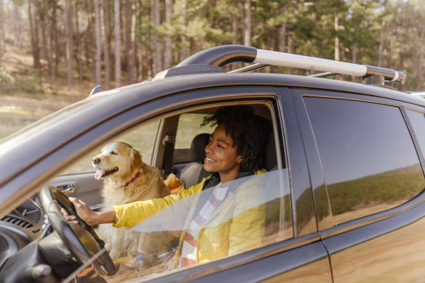 Want to know how many people a Volkswagen Tiguan can ? This guide explains the Tiguan's seating options (5-seater and 7-seater), differences in seat layouts