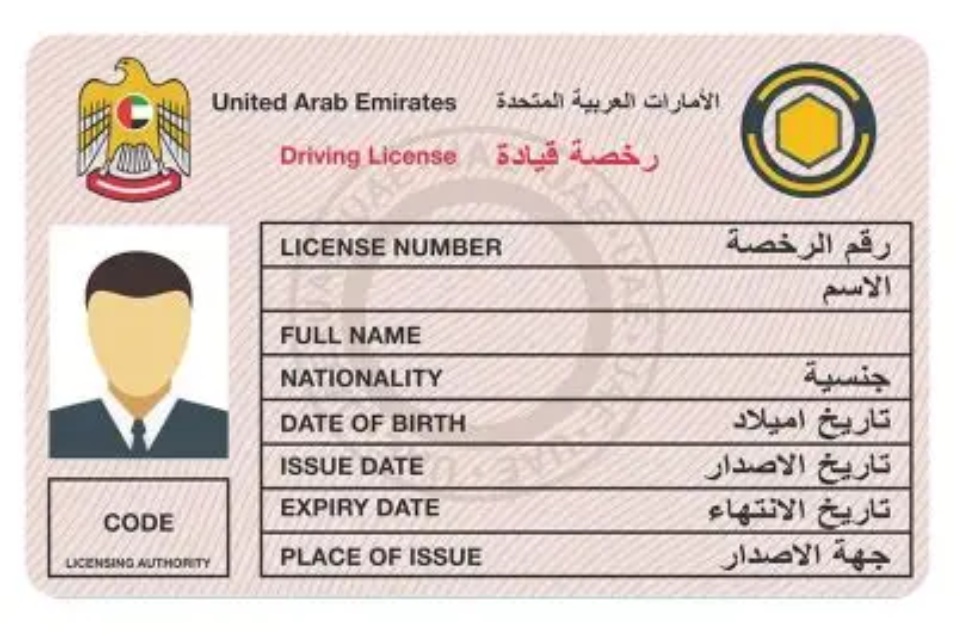 New Tennessee law links bullying to license suspension, alongside key reasons for driving license bans in UAE and Saudi Arabia. 