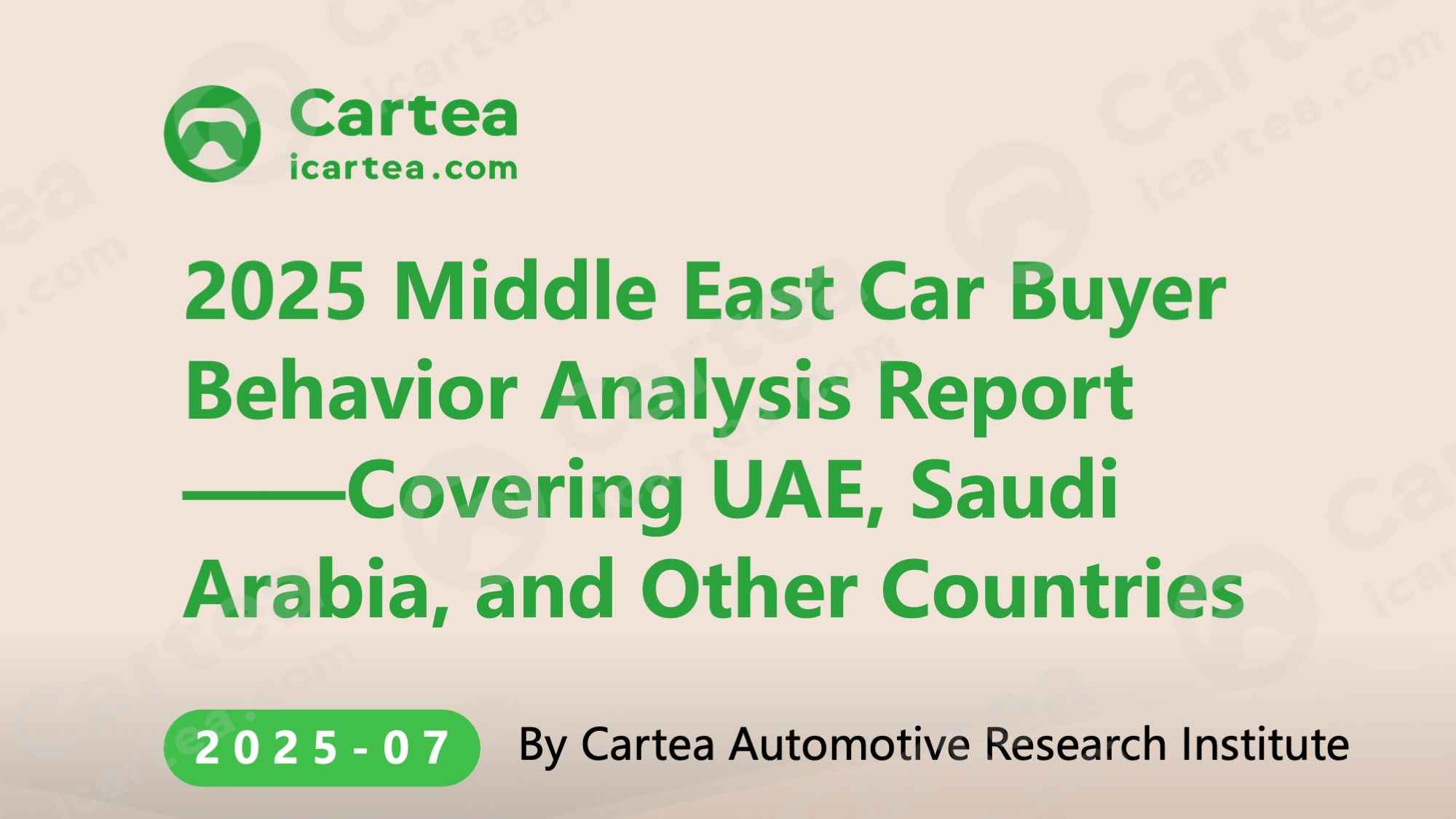 الدراسة تُقدِّم تحليلاً لملفات المستهلكين حسب الجنس والعمر والموقع الجغرافي، وتُحلِّل بشكل منهجي دوافع الشراء واحتياجات ما بعد البيع، مما يساعد العلامات التجاري