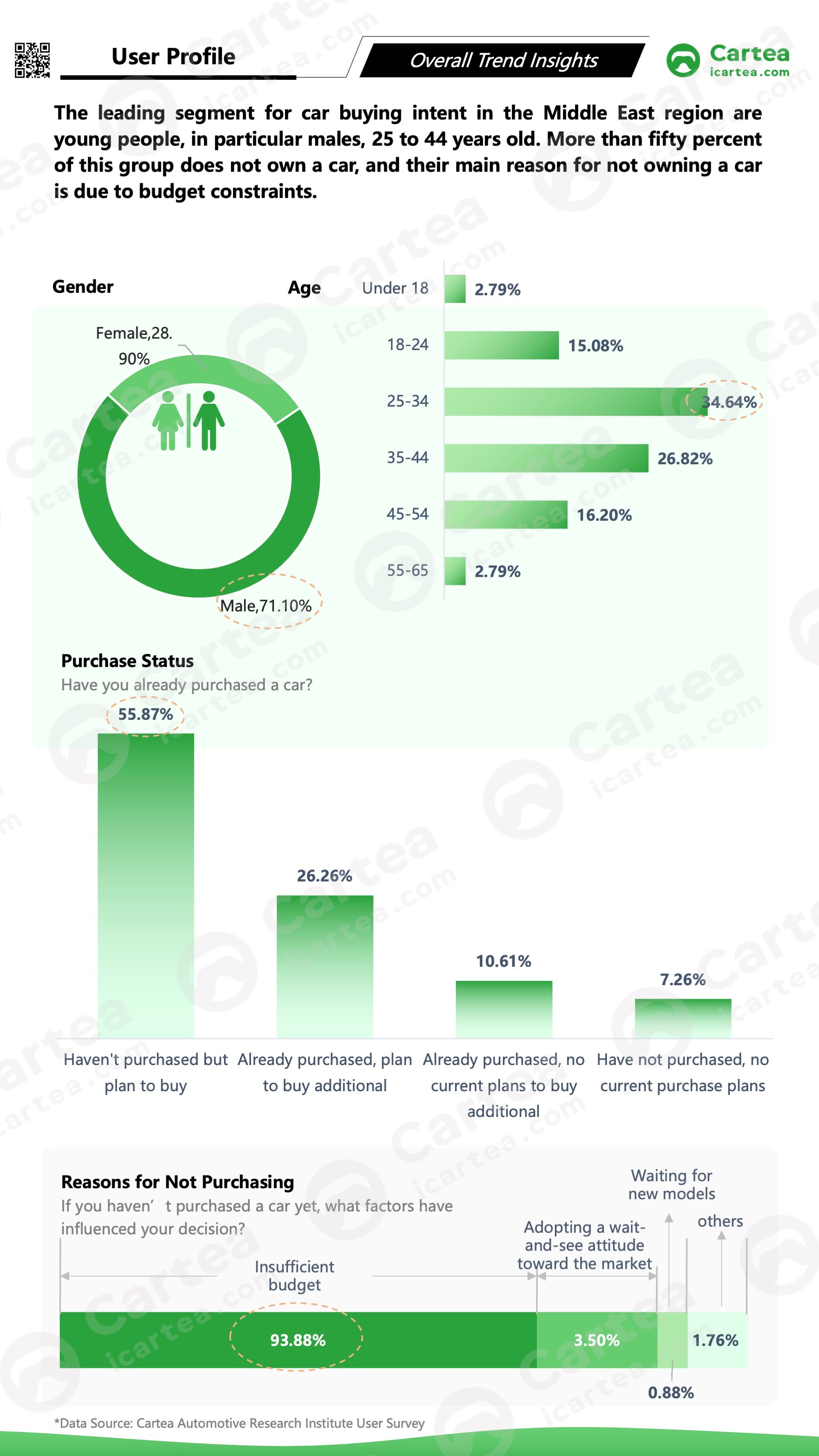 The study profiles consumers by gender, age, and location, and systematically analyzes their purchase motivations and after-sales needs, helping Chinese brands