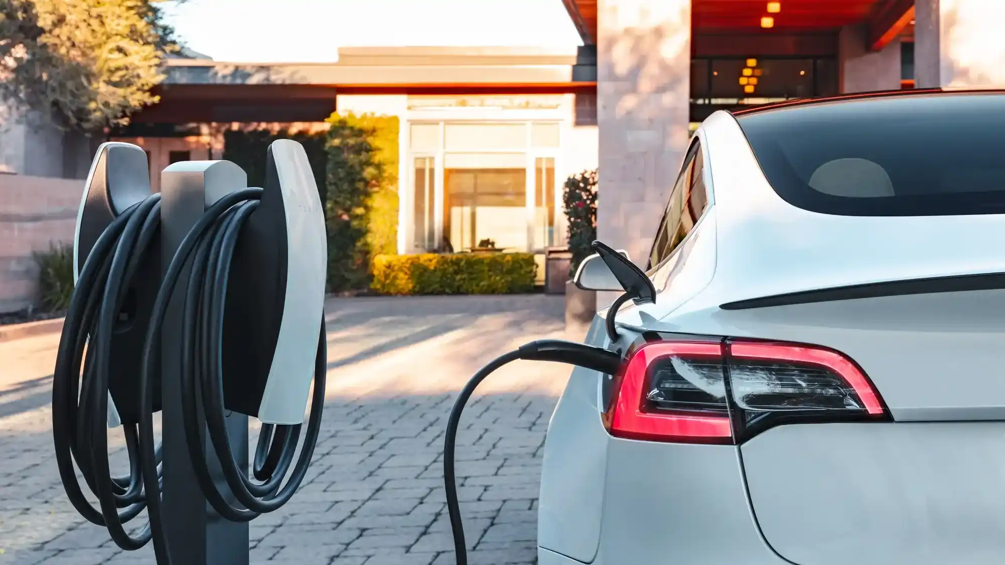 Electric Cars in the UAE Between Savings and Practicality