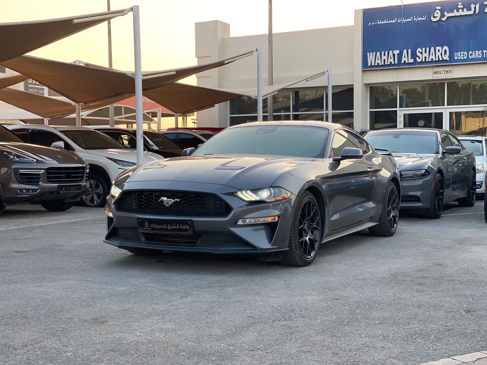 Ford Mustang 2021 2.3L