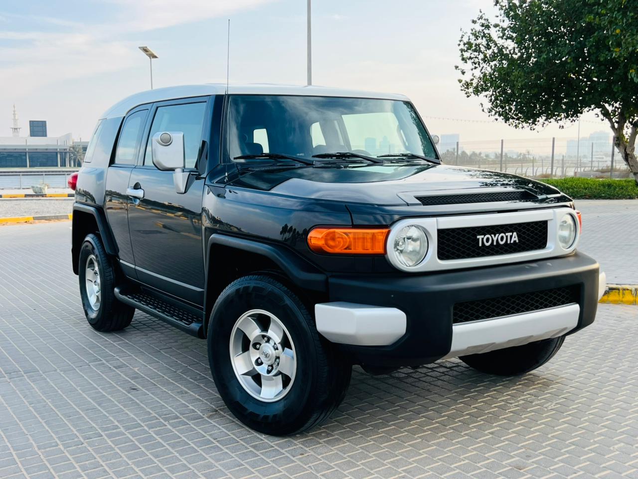 Toyota FJ Cruiser 2008