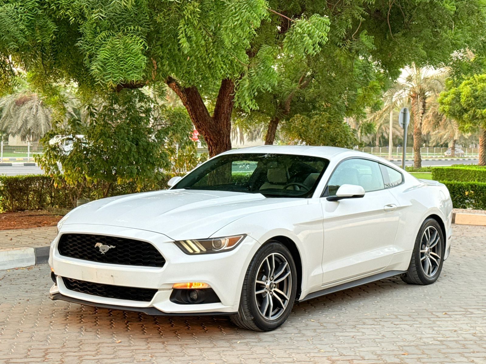 Ford Mustang 2017