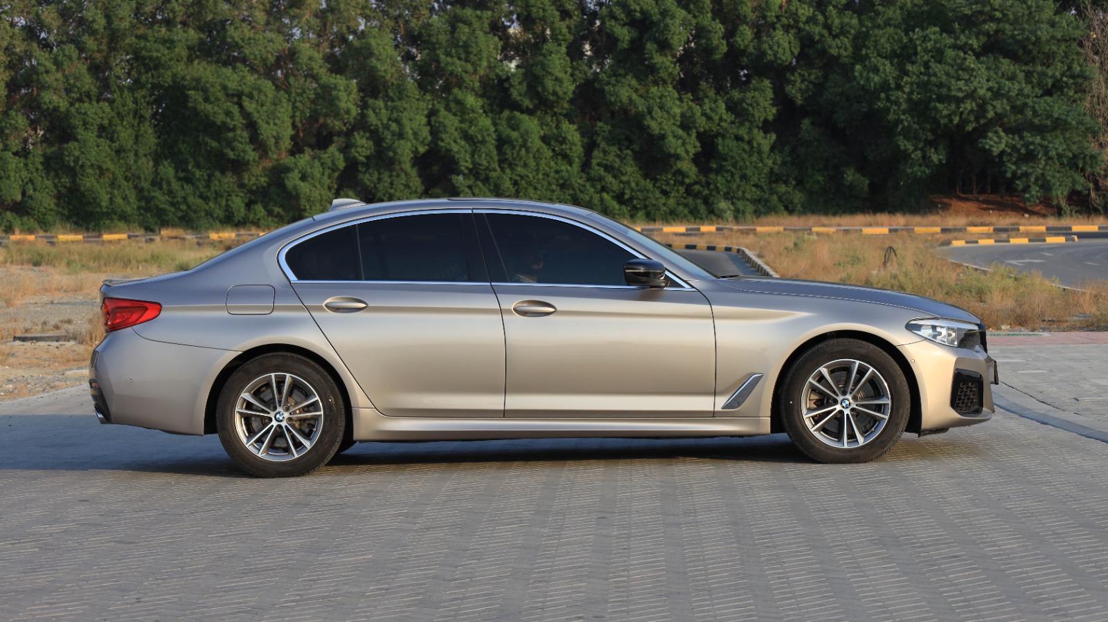 BMW 5 Series 2020 2L