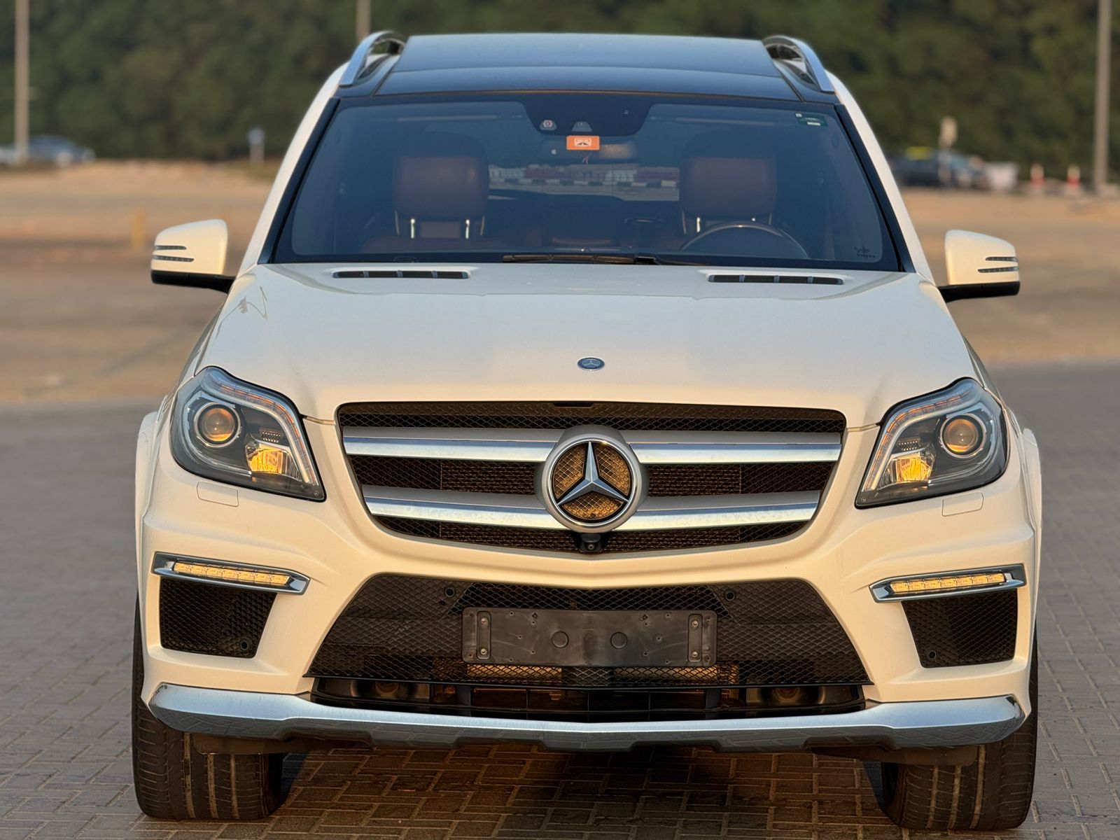 Mercedes Benz GL Class 2014