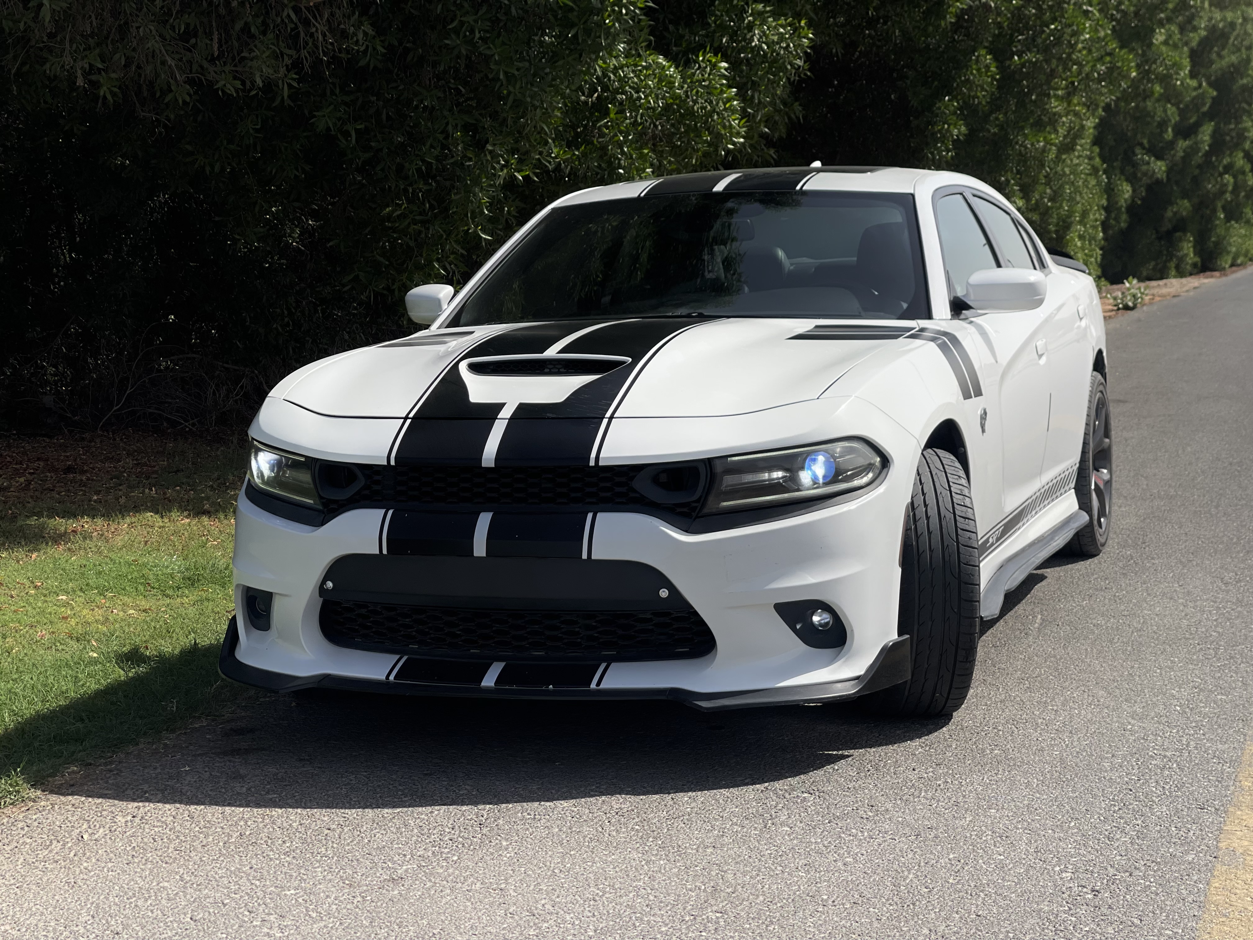 Dodge Charger 2019 6.3L