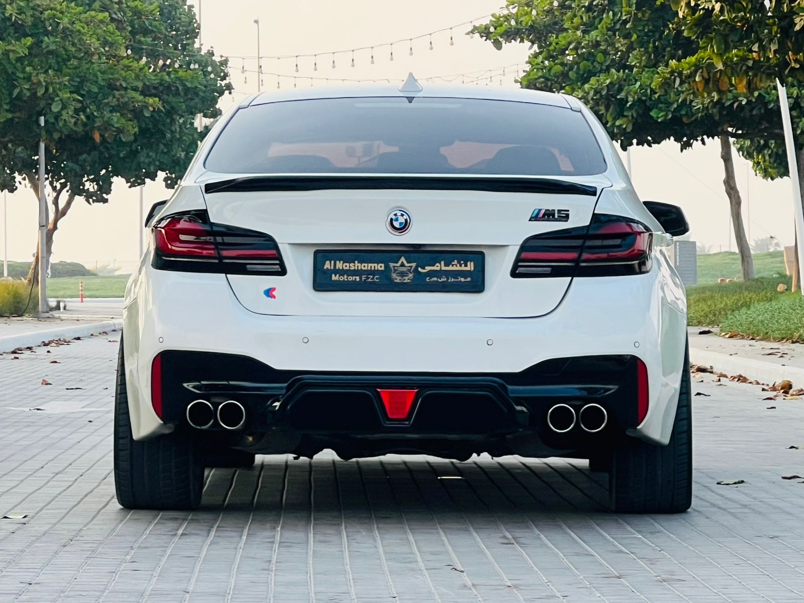 BMW M550i 2011