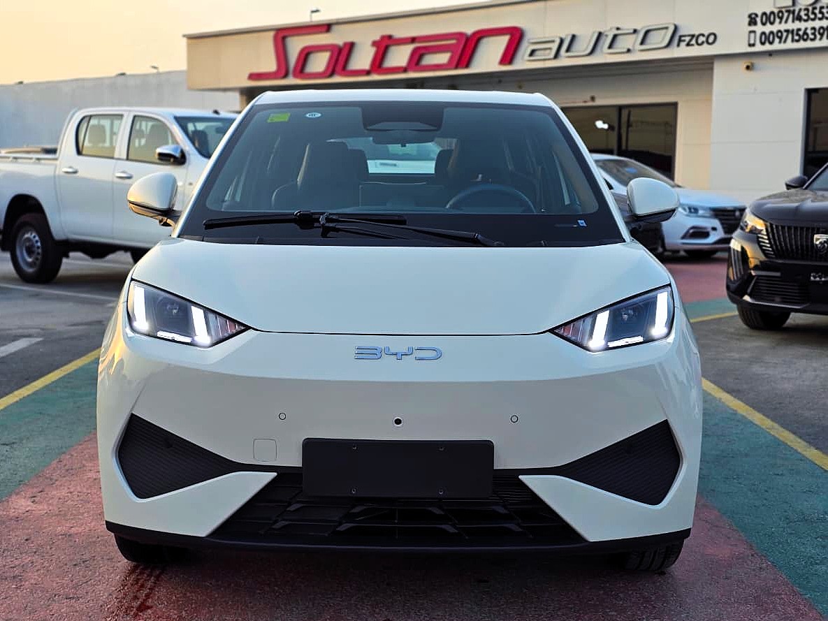 BYD Seagull 2025
