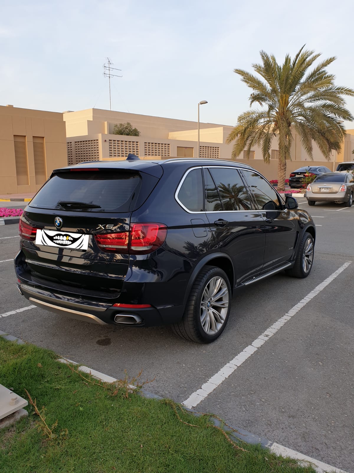 بي أم دبليو X5 2017 3000L