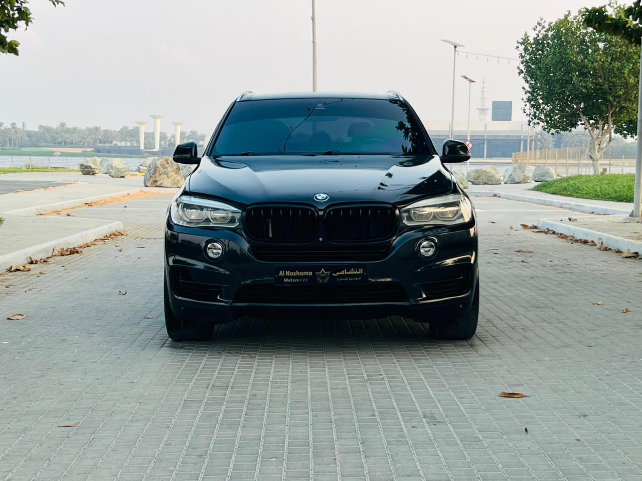 بي أم دبليو X5 2017