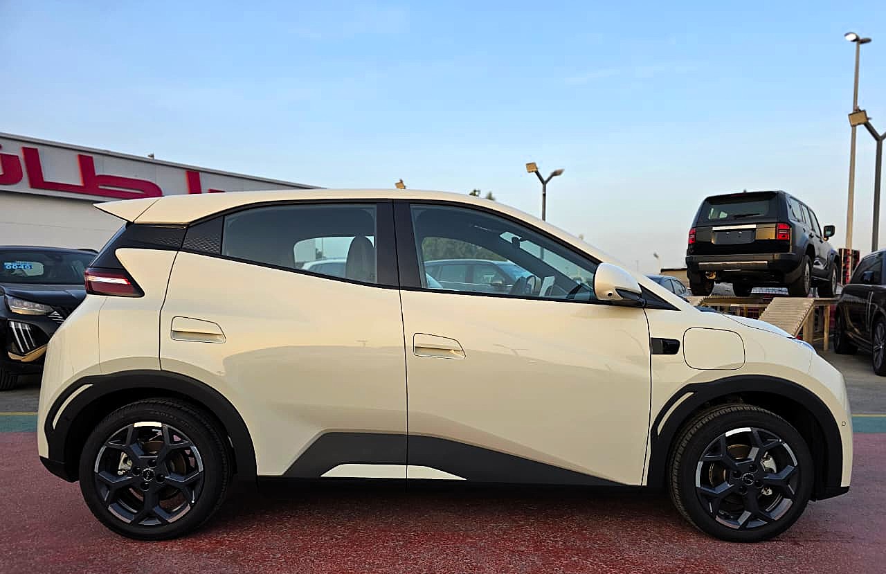BYD Seagull 2025