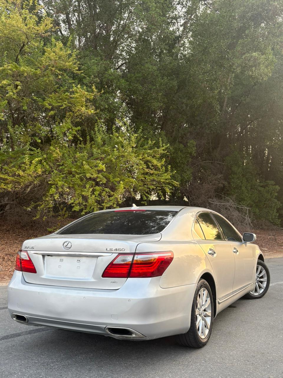 Lexus LS 2010