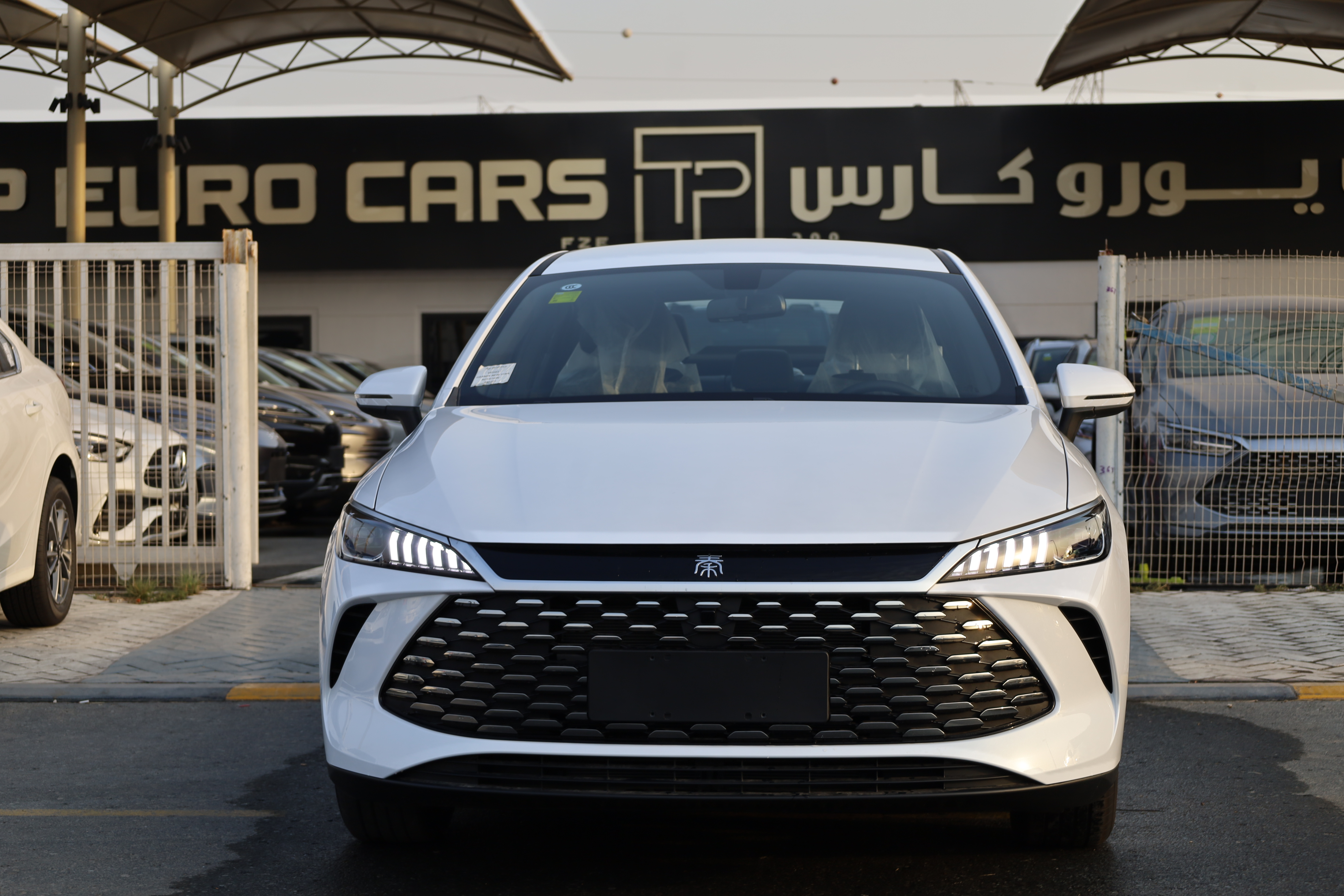 بي واي دي Qin Plus 2025