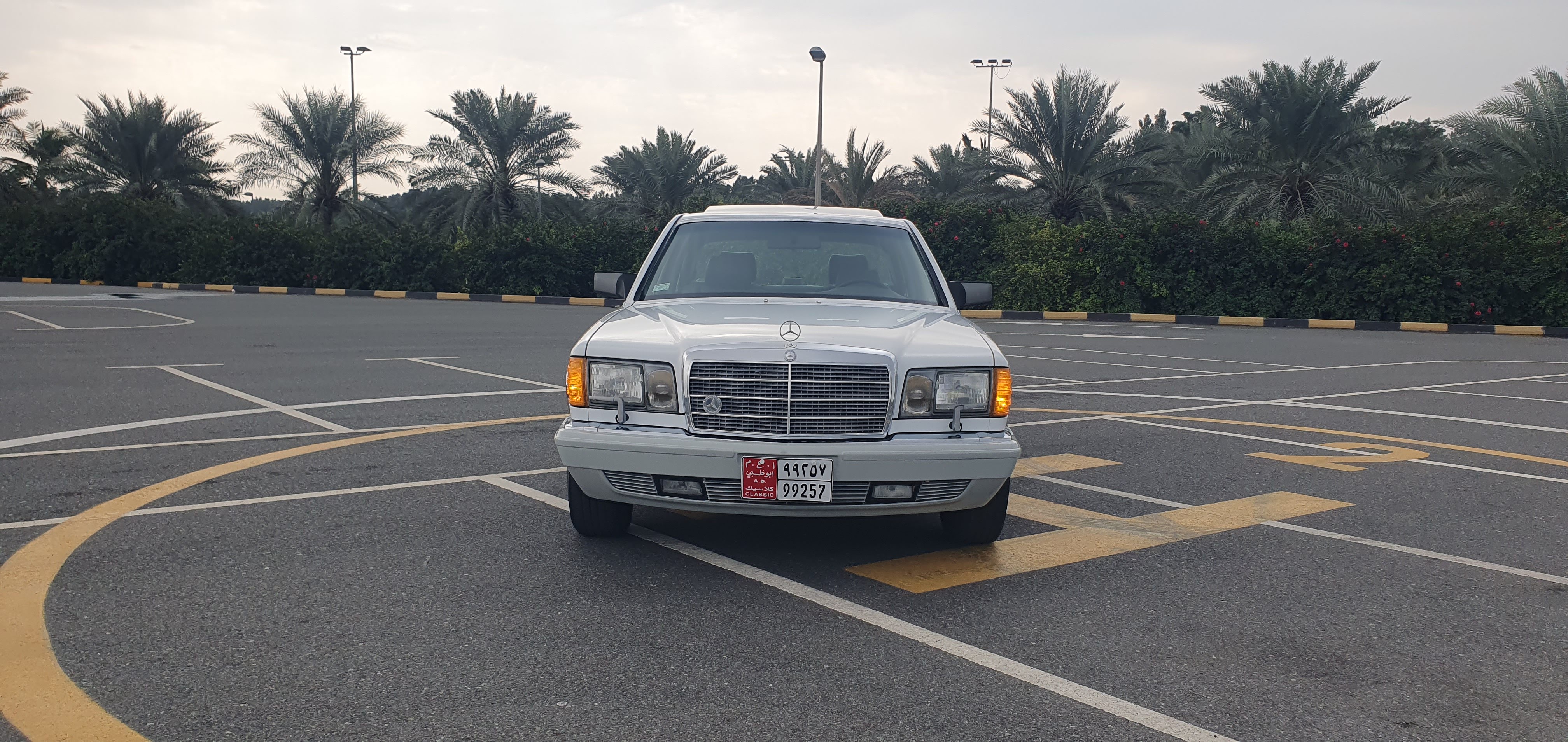 Mercedes Benz S Class 1991 5.6L