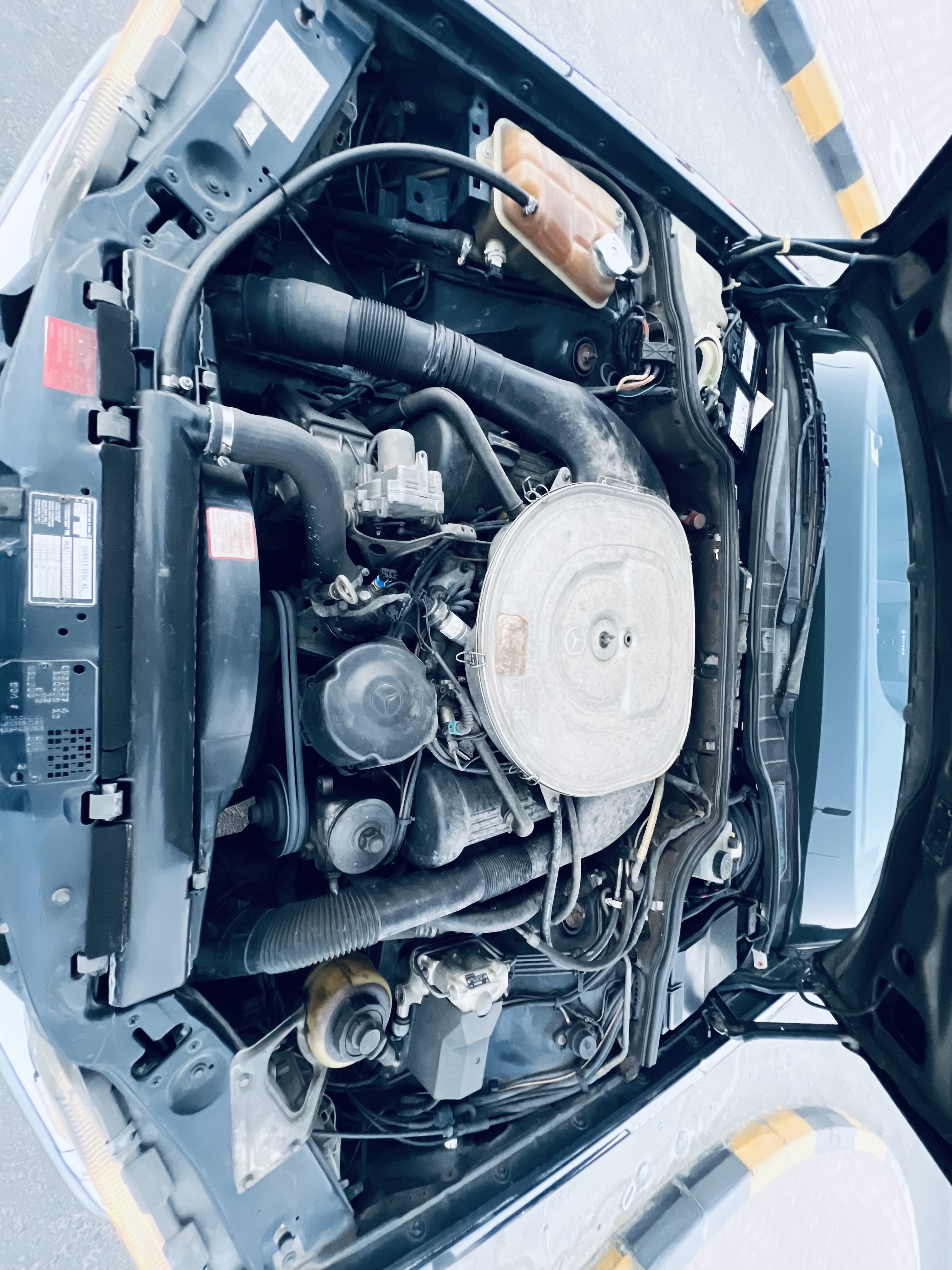 Mercedes Benz S Class 1990 5L