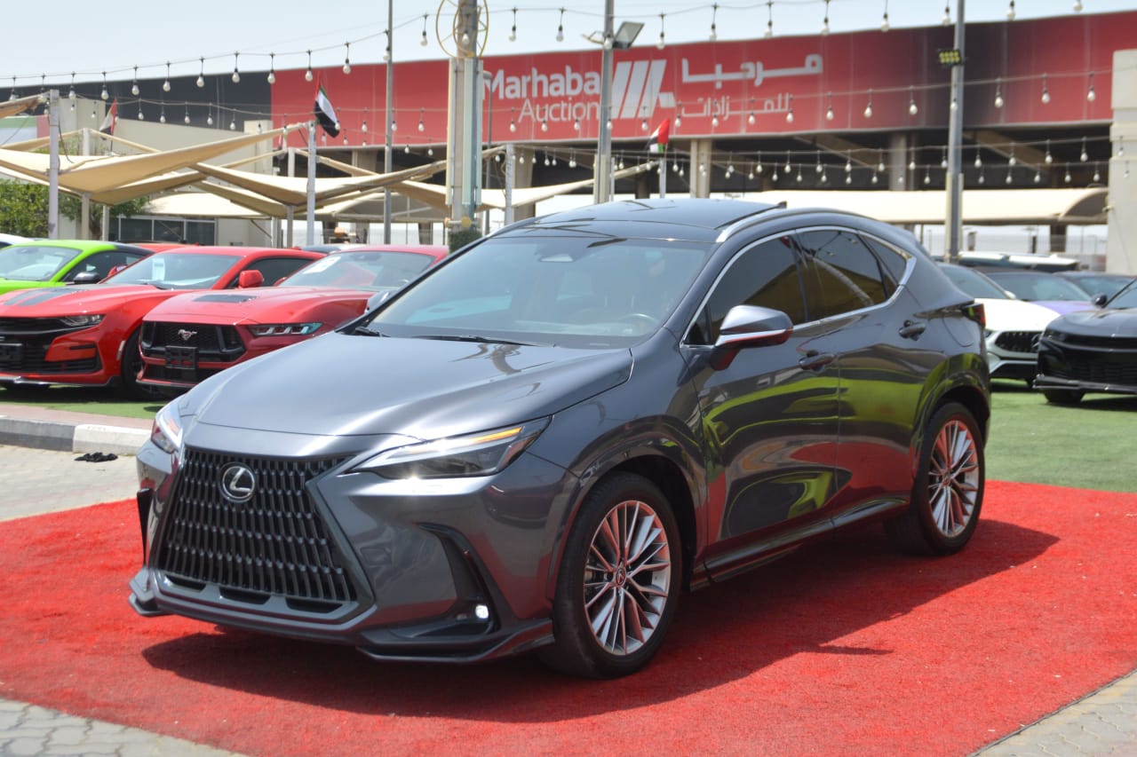 Lexus NX 2024
