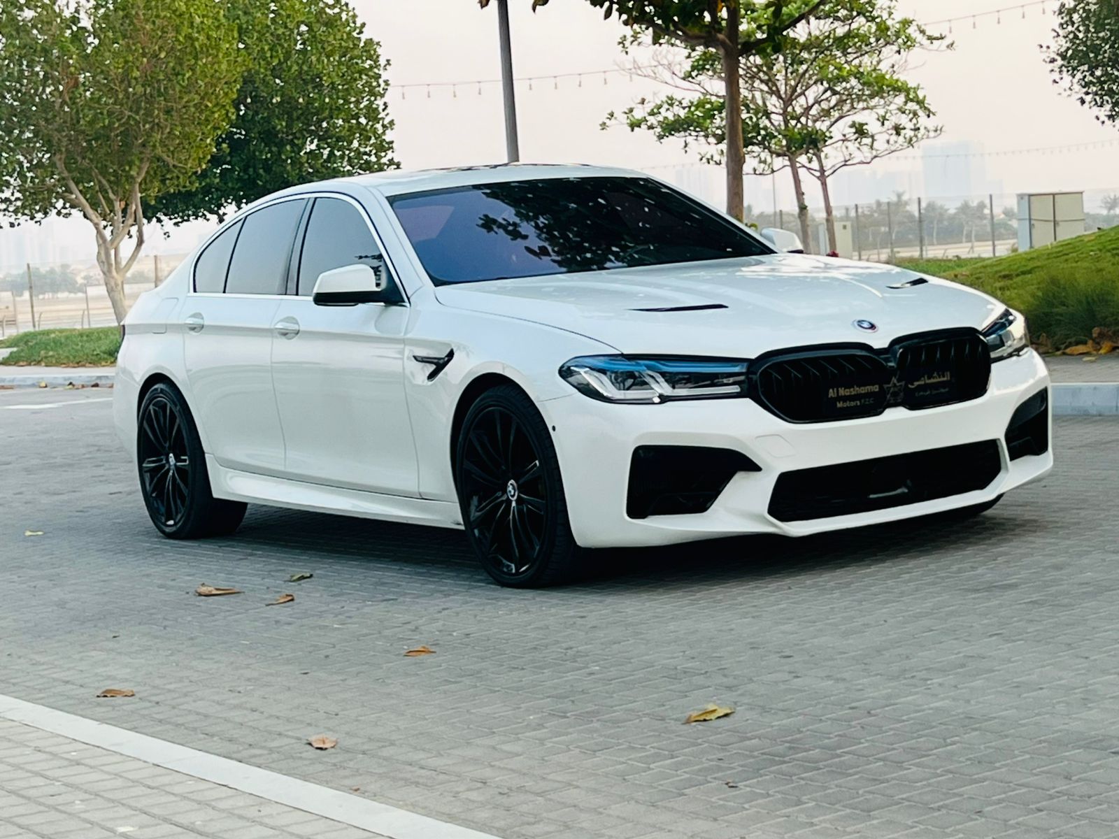 BMW M550i 2011