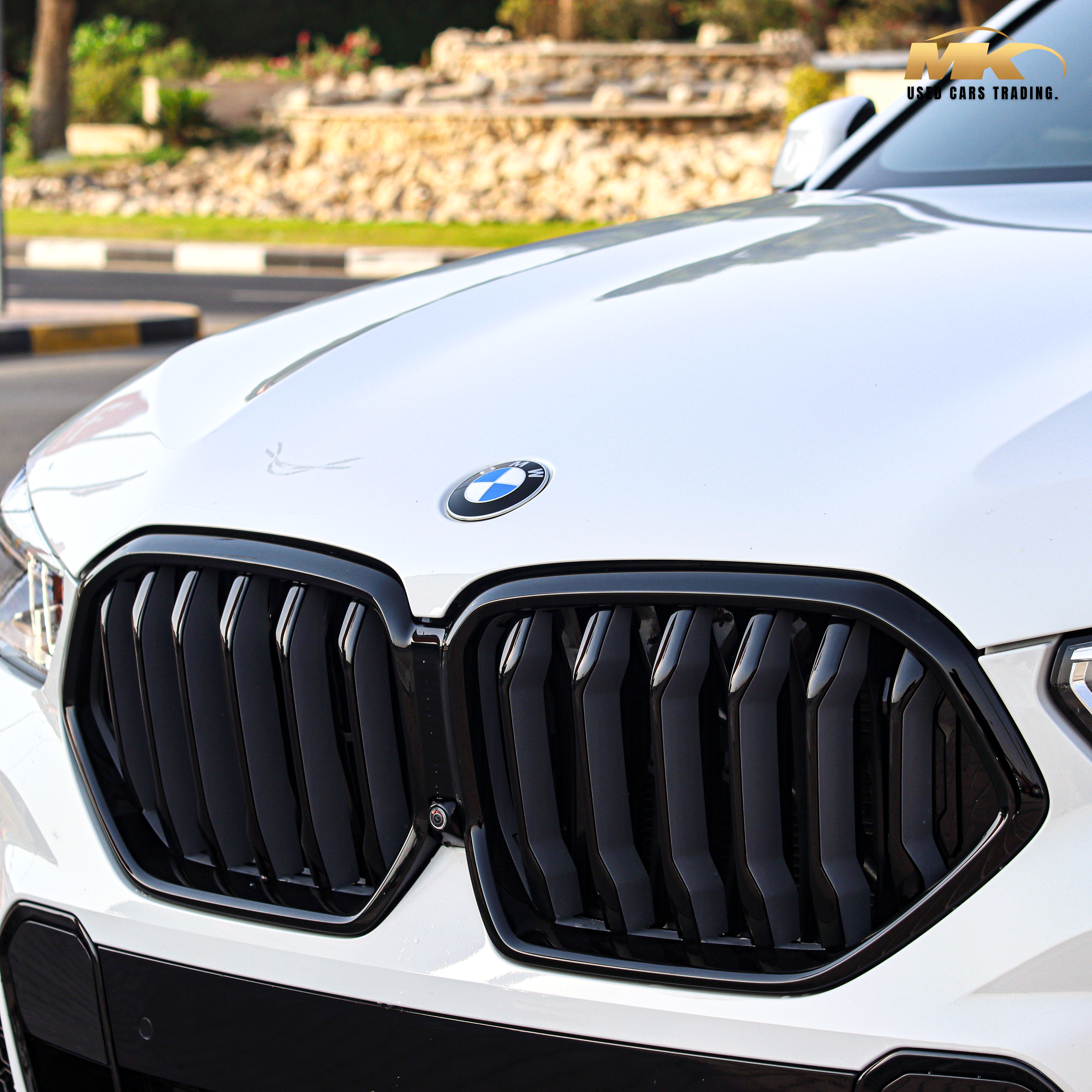 BMW X6M 2022 4.4L