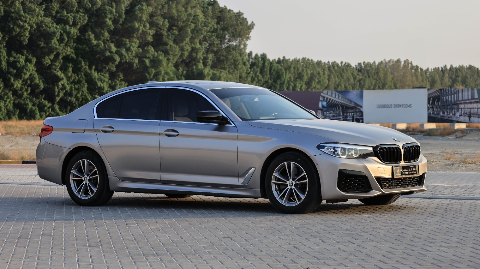 BMW 5 Series 2020 2L