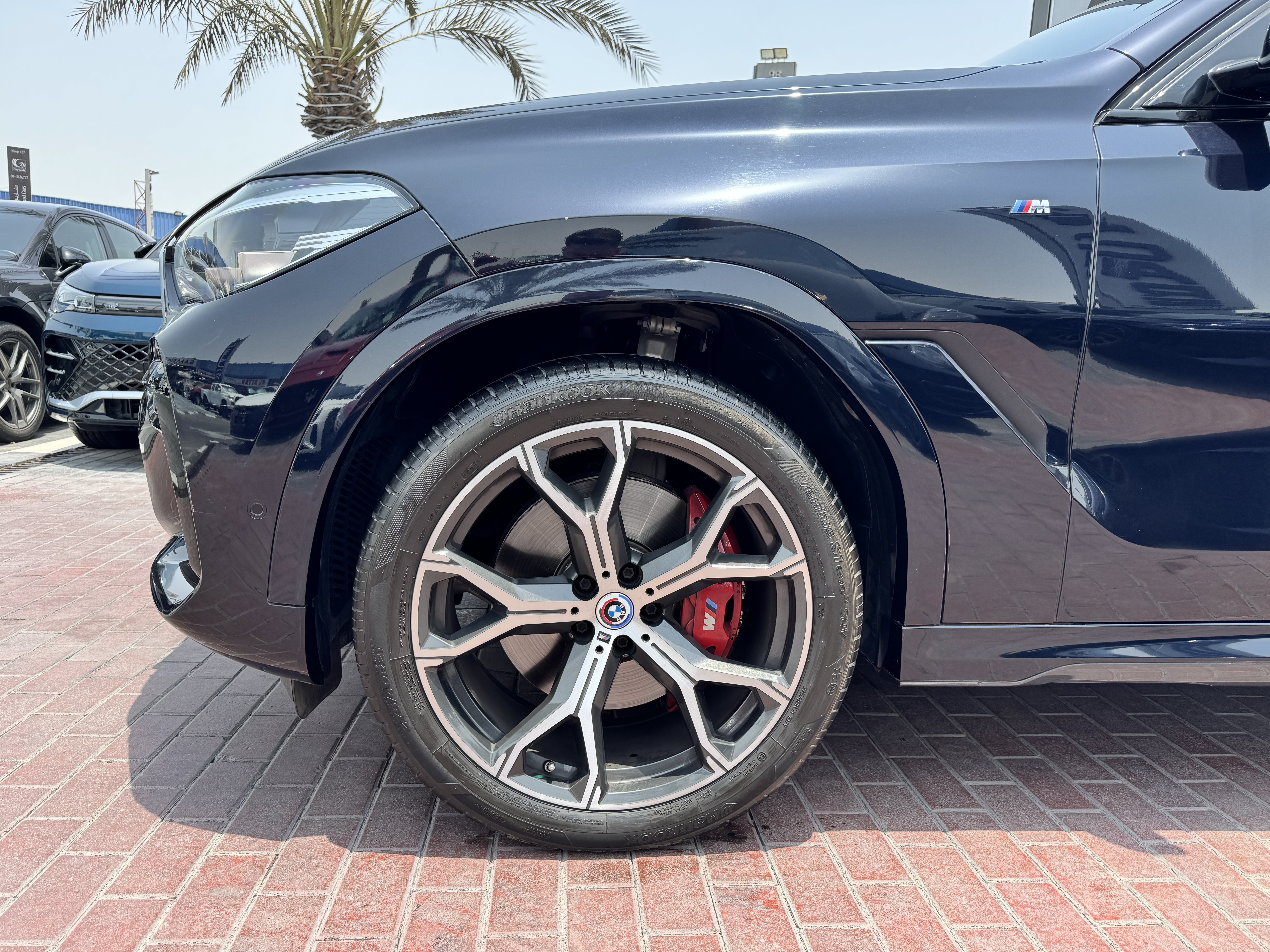 BMW X6 2023 4L