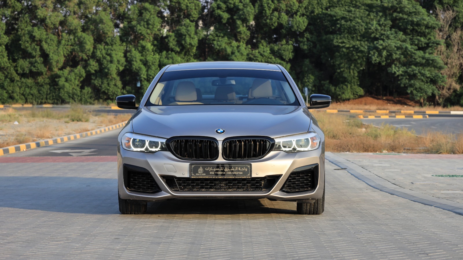 BMW 5 Series 2020 2L