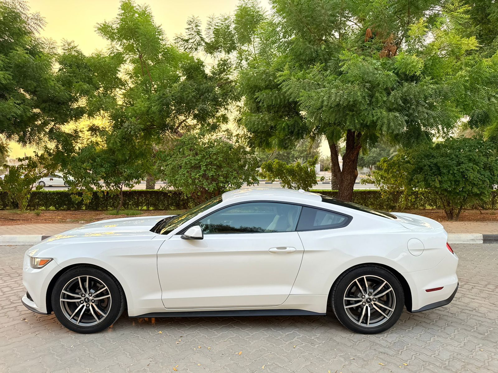 Ford Mustang 2017