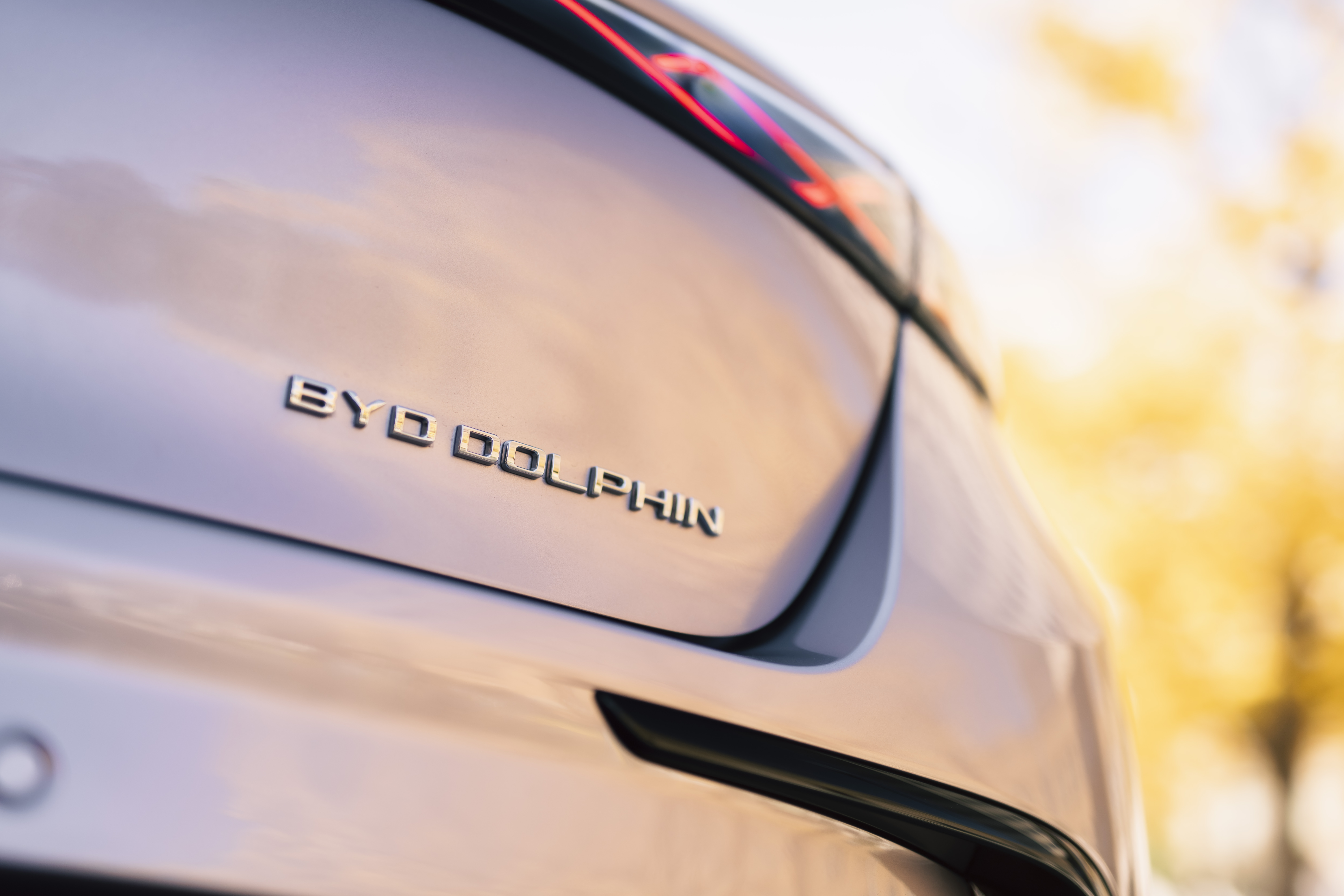 BYD Dolphin 2025 0L