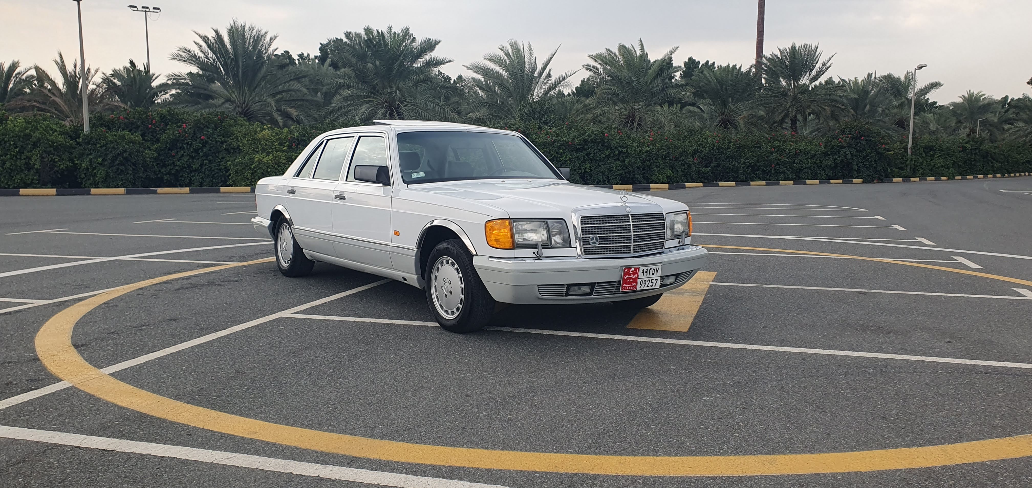 Mercedes Benz S Class 1991 5.6L