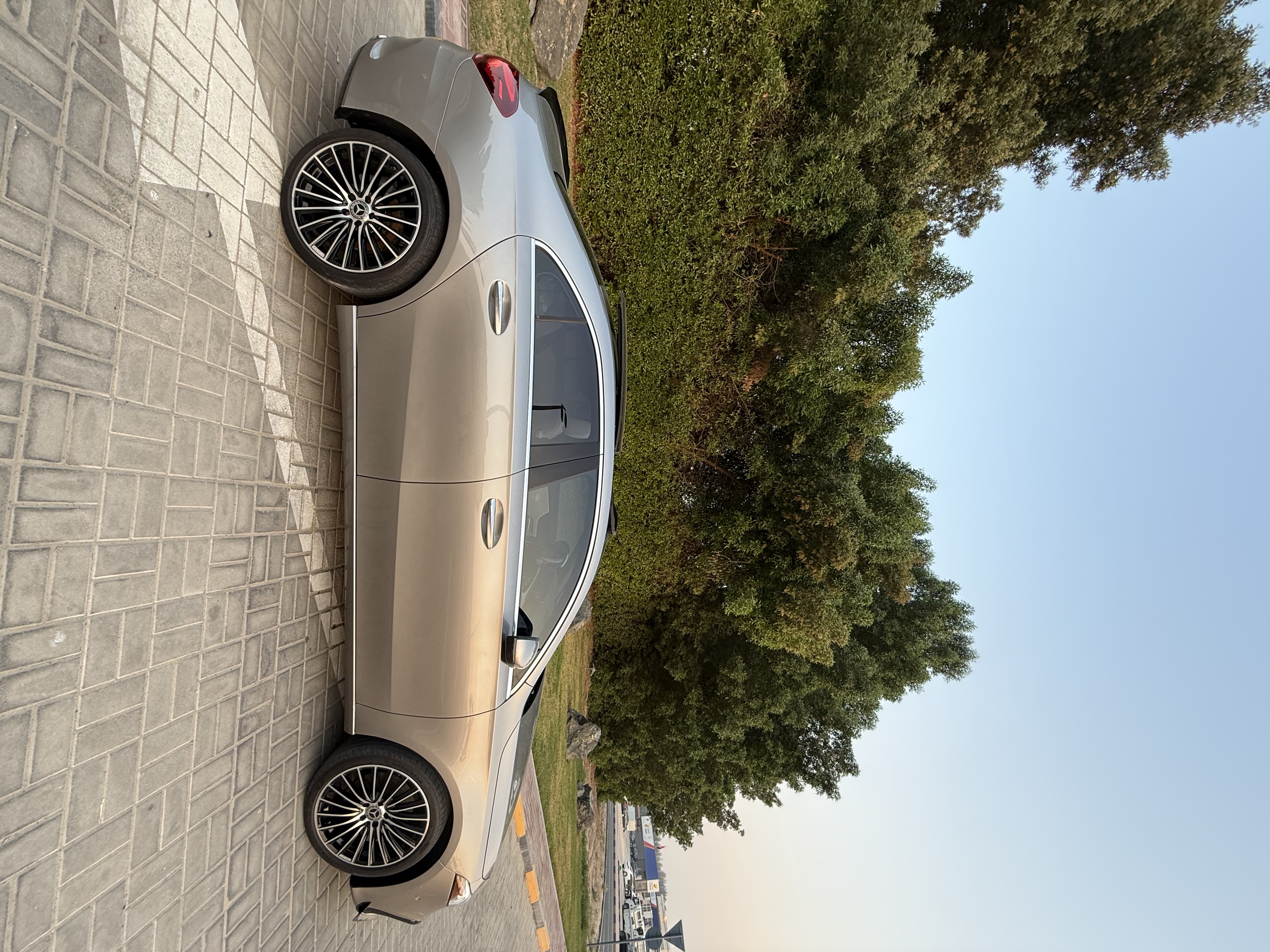 Mercedes Benz A Class 2019