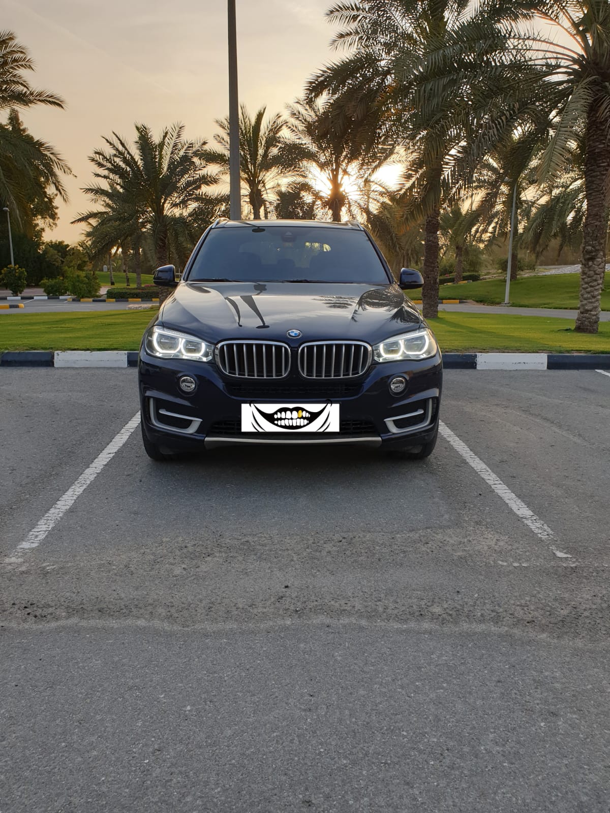 بي أم دبليو X5 2017 3000L