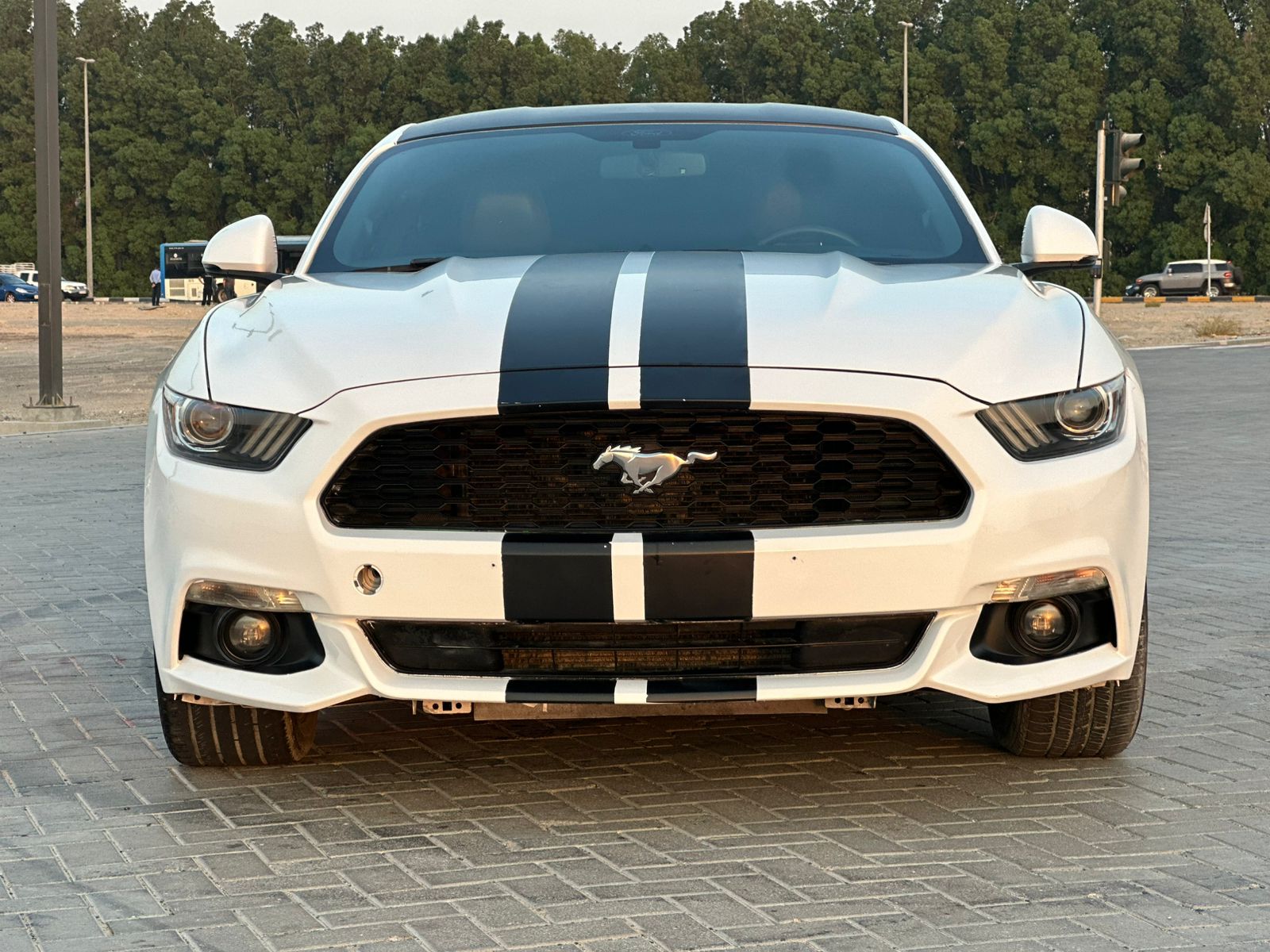 Ford Mustang 2017