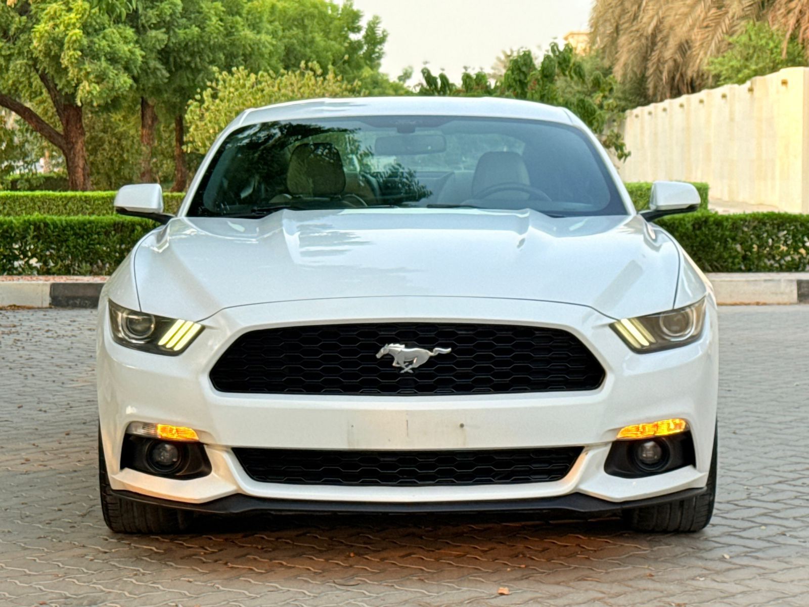 Ford Mustang 2017